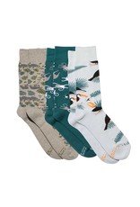 Trade roots Boxed Set, Socks that Protect the Rainforest