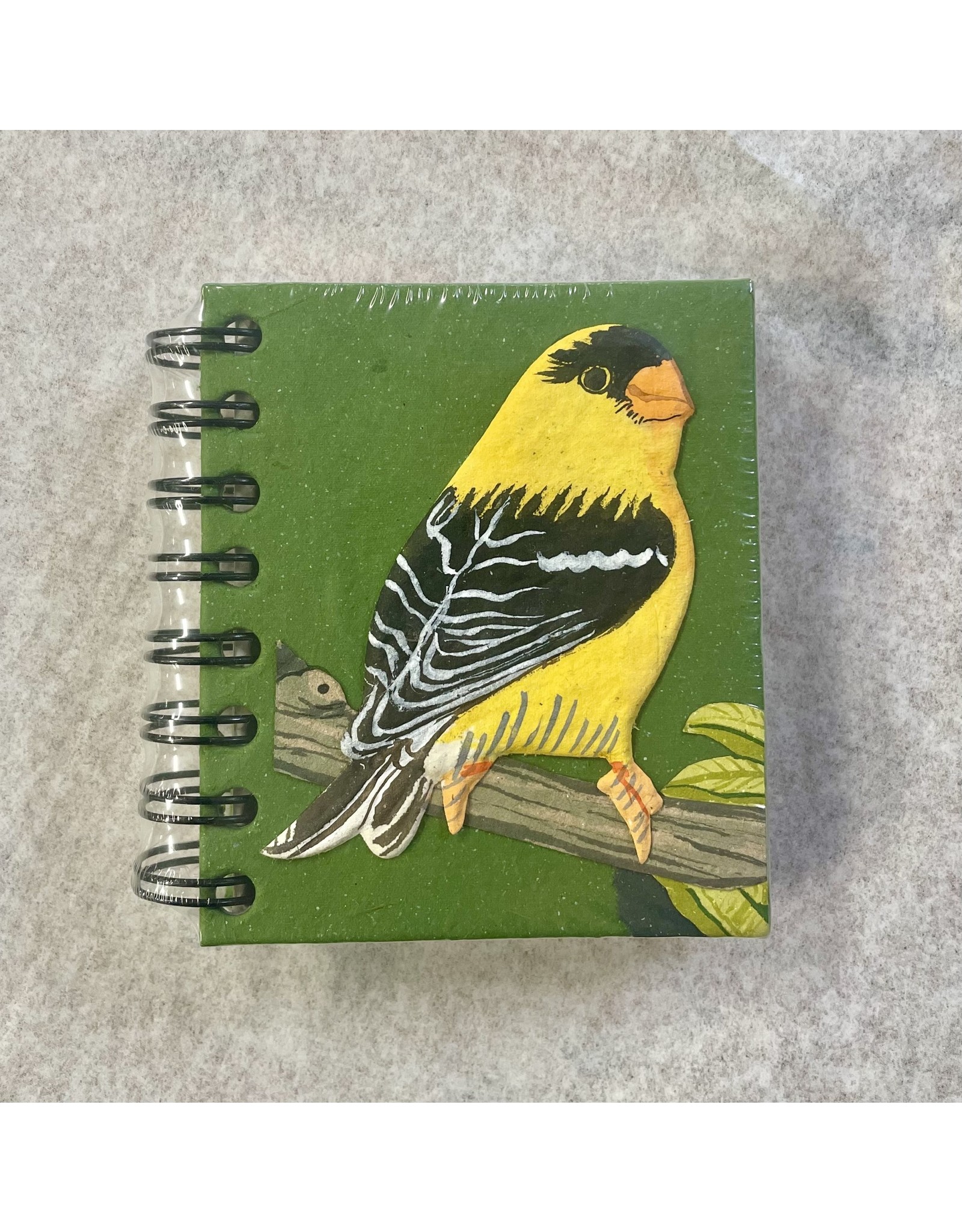 Mr. Ellie Pooh Small Notebook, Gold Finch, Sri Lanka