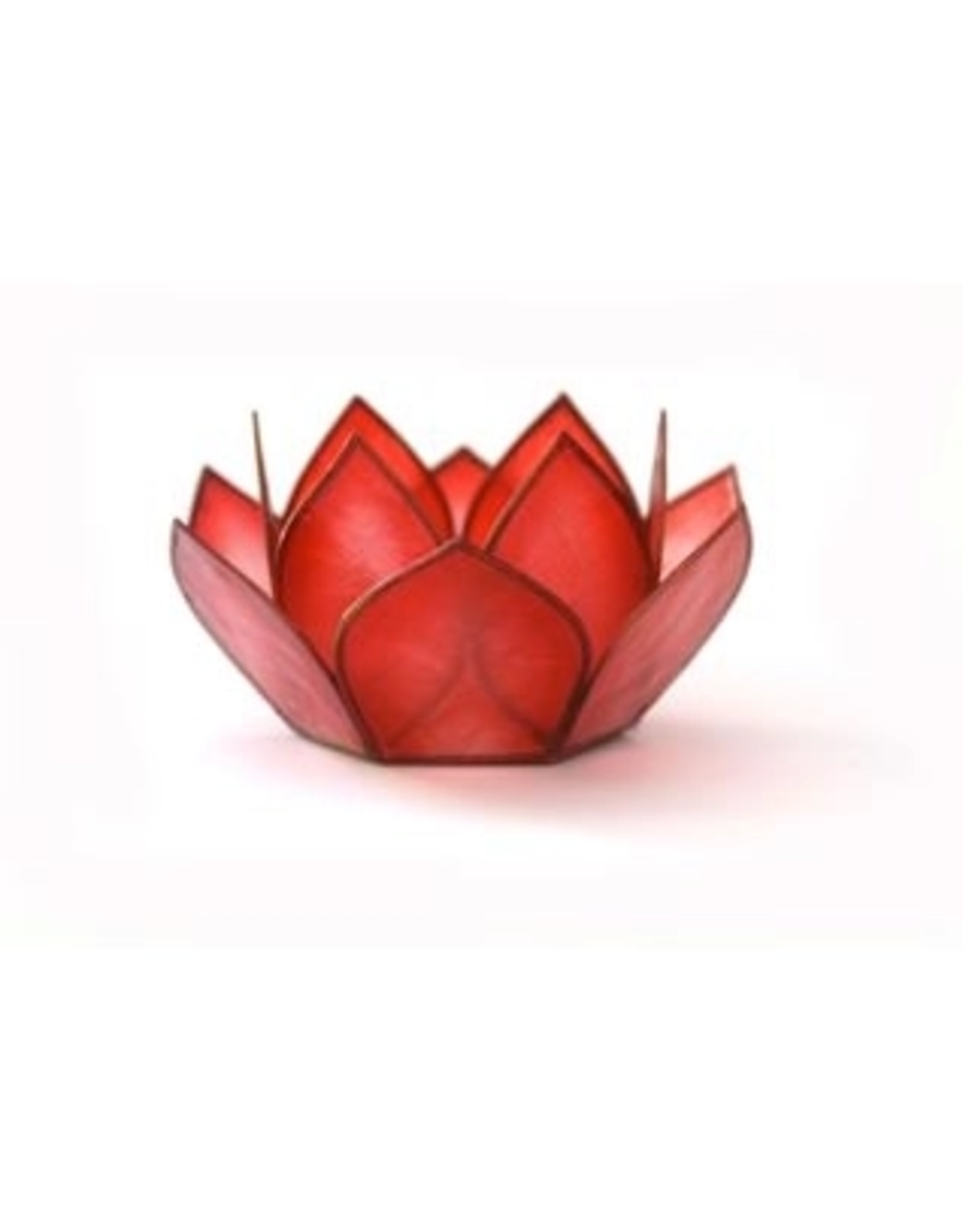 Trade roots Mini Capiz Dahlia Tea Light Holder, Philippines