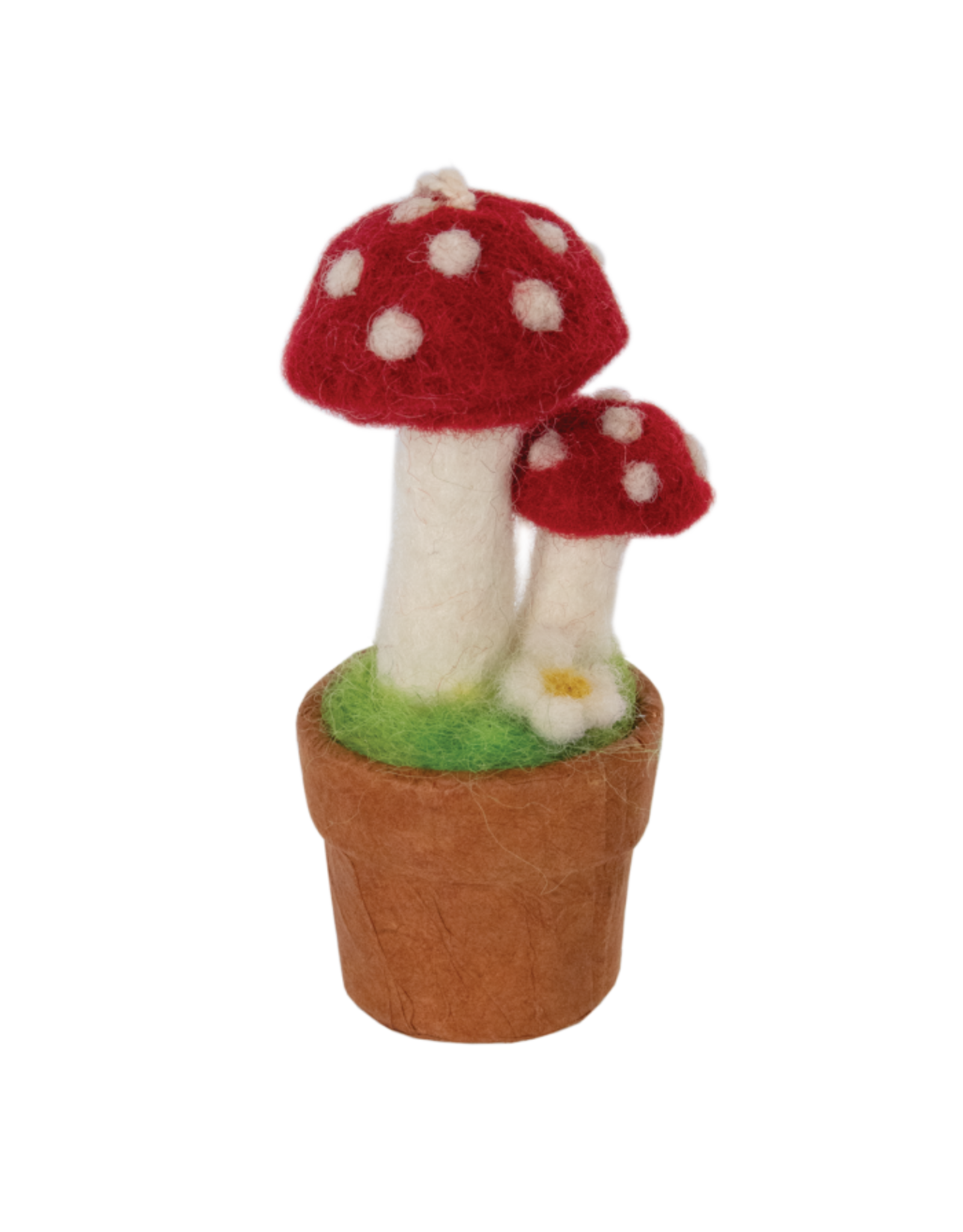 Trade roots Potted Plant, Twin Fairy Mushroom, Red, Nepal