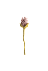 Felt Alpinia Flower, Nepal