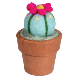 Cactus: Small Peyote Cactus