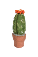 Trade roots Cactus Small San Pedro Cactus, Nepal