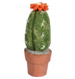 Trade roots Cactus Small San Pedro Cactus, Nepal