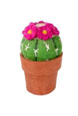 Trade roots Cactus, Pin Cushion, Nepal
