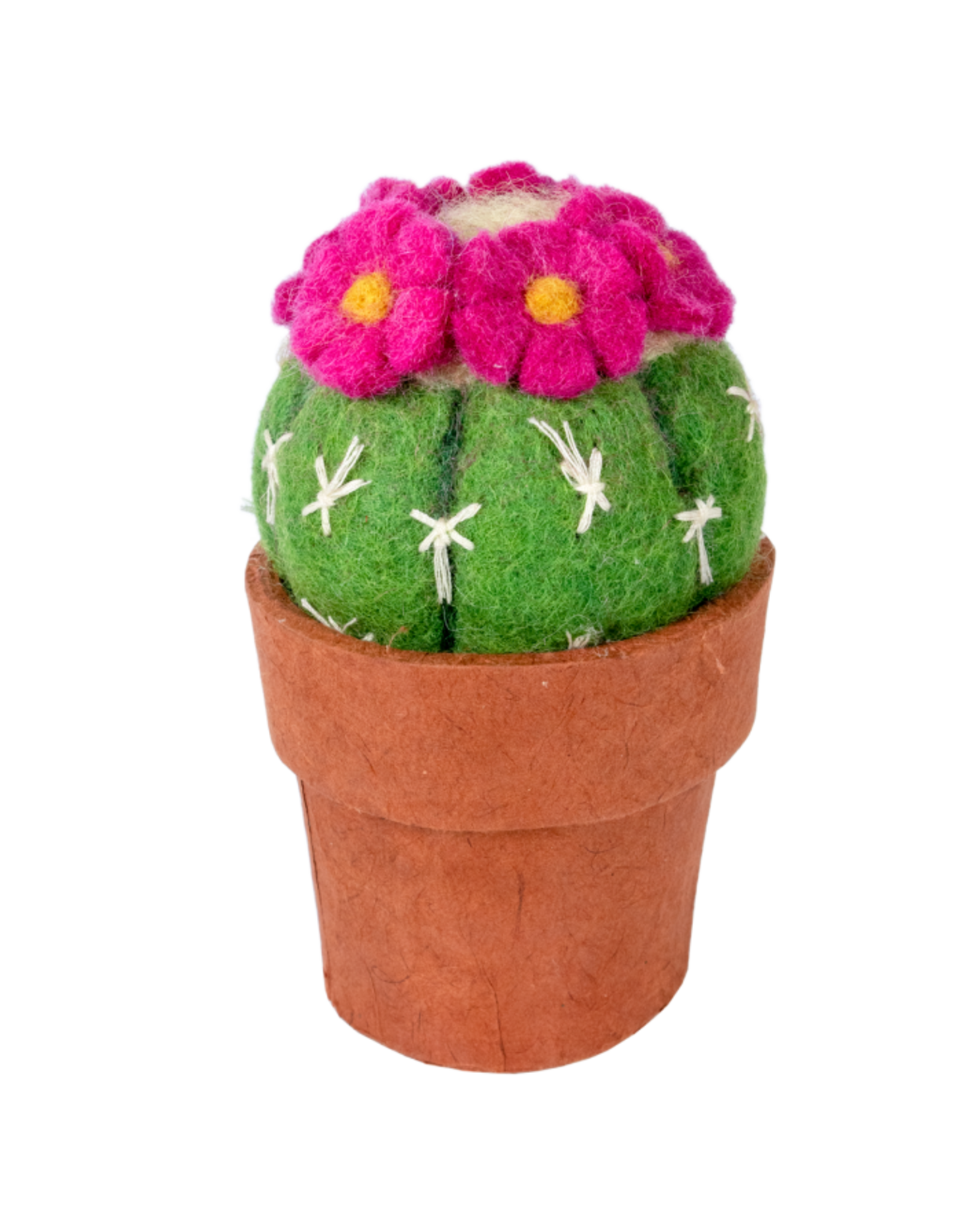 Trade roots Cactus, Pin Cushion, Nepal