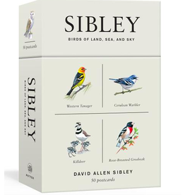 Trade roots Sibley Birds of Land and Sea, Postcards