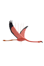 Flamingo Flying Mobile, Colombia