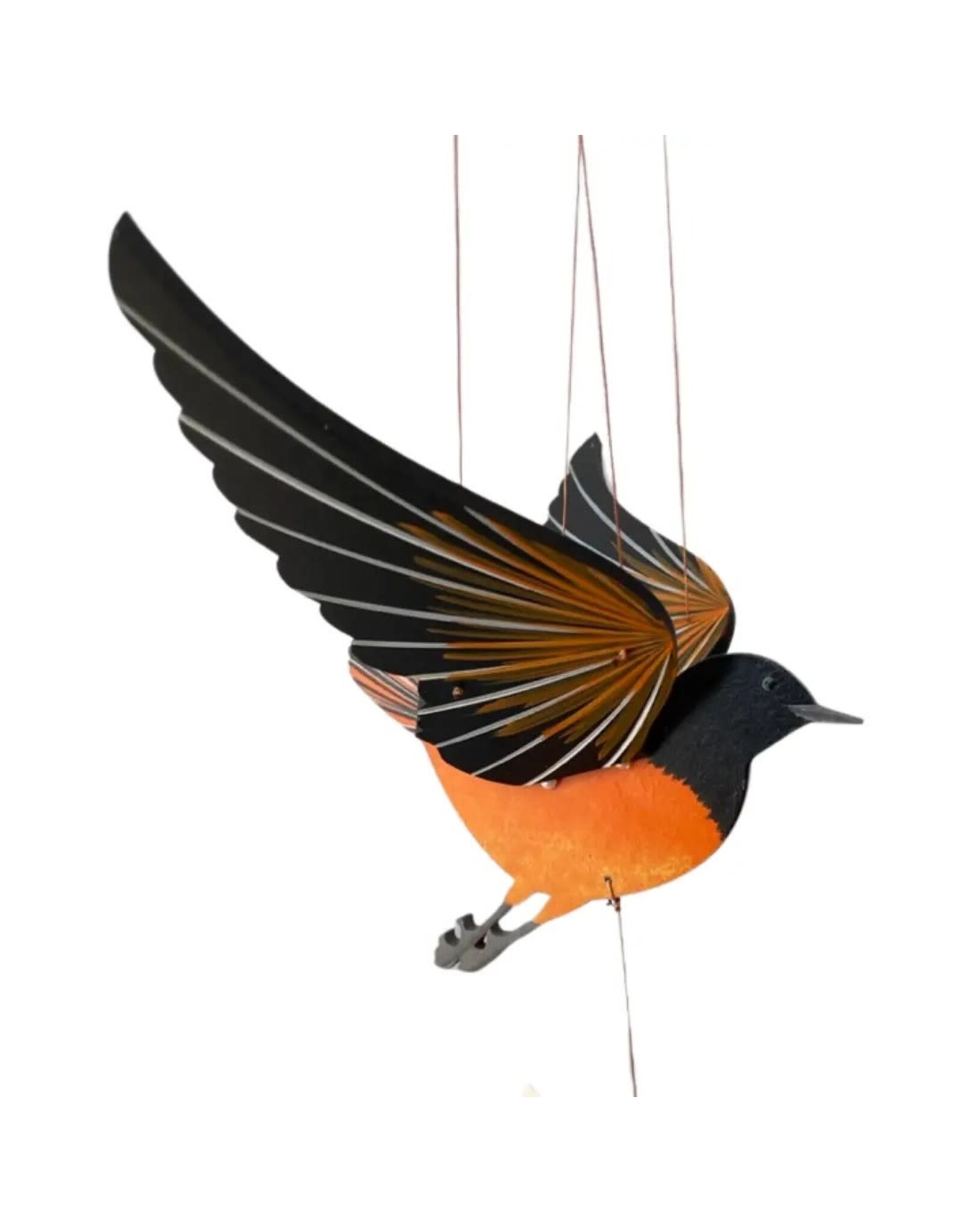 Oriole Flying Mobile, Colombia