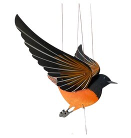 Oriole Flying Mobile, Colombia