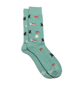Socks that Protect Cats, Teal
