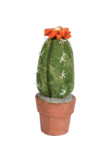 Trade roots Cactus Small San Pedro Cactus, Nepal