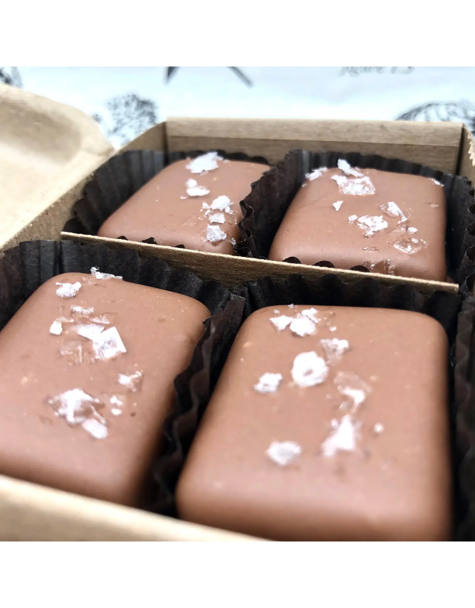 4 Piece Milk Chocolate Covered Salted Caramels