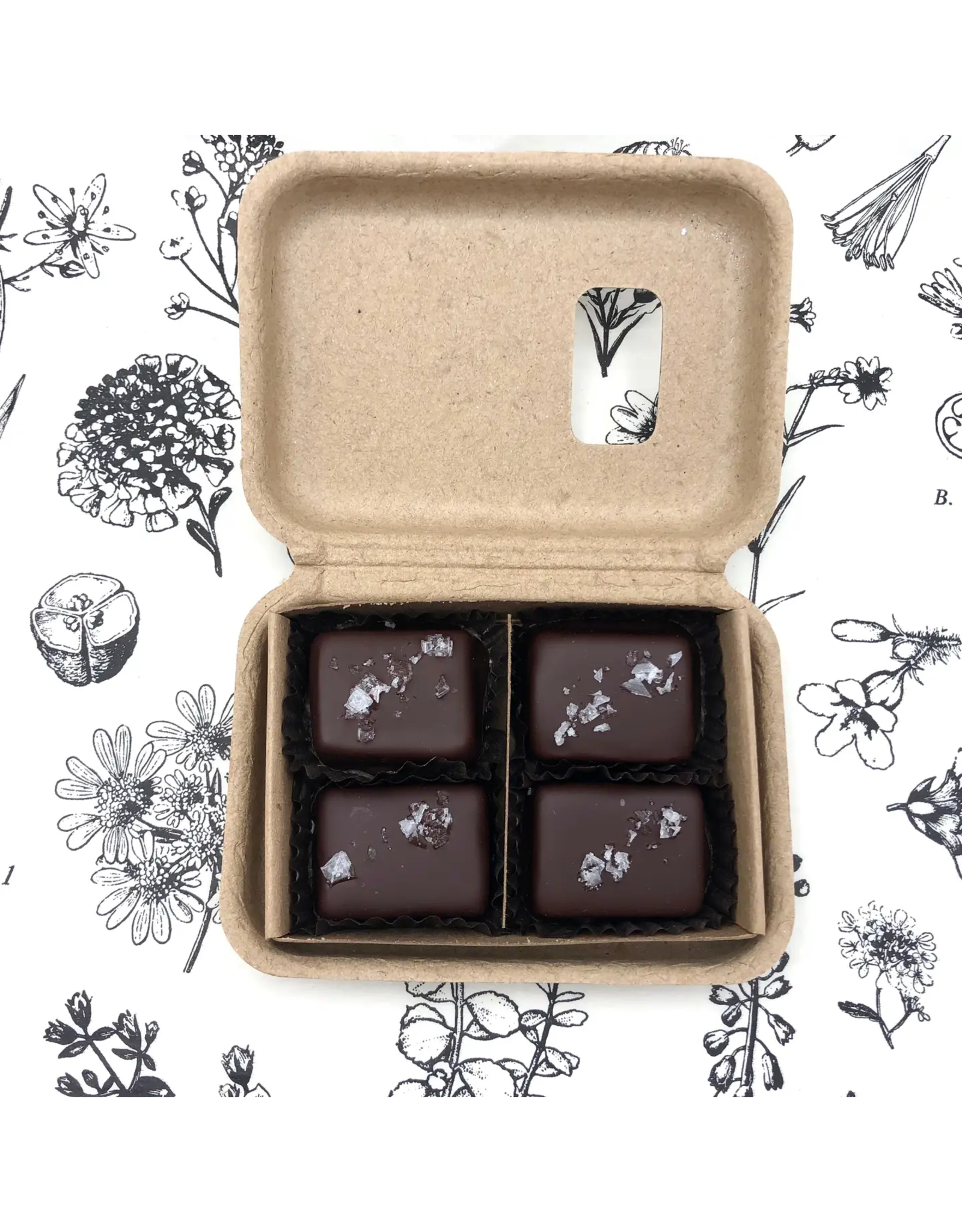 4 Piece Dark Chocolate Covered Salted Caramels