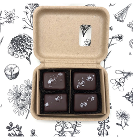 4 Piece Dark Chocolate Covered Salted Caramels