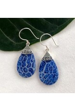 Blue Coral Teardrop Earrings - Sterling Silver, Indonesia