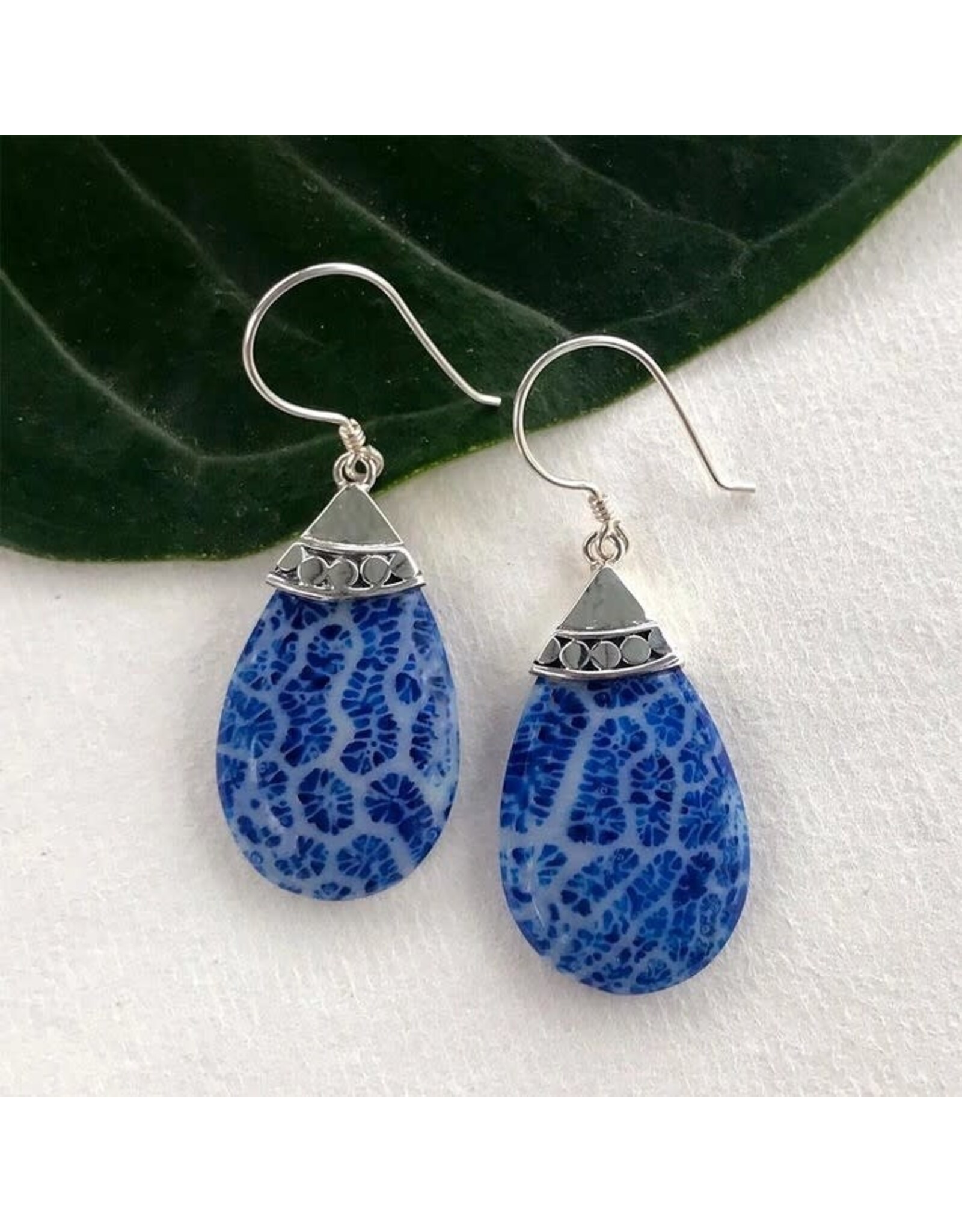 Blue Coral Teardrop Earrings - Sterling Silver, Indonesia