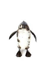 Rustic Metal Penguin