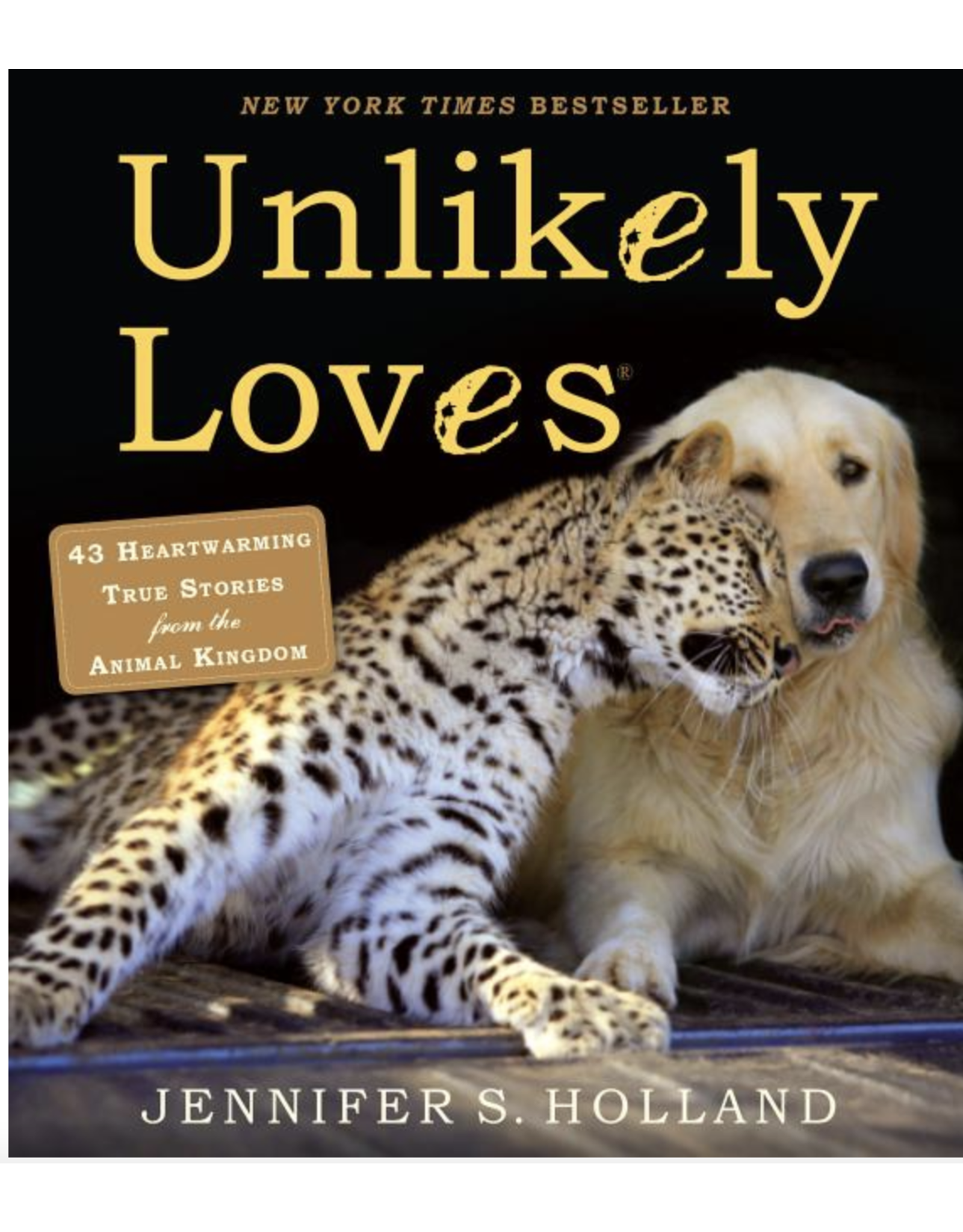 Trade roots Unlikely Loves, Paperback