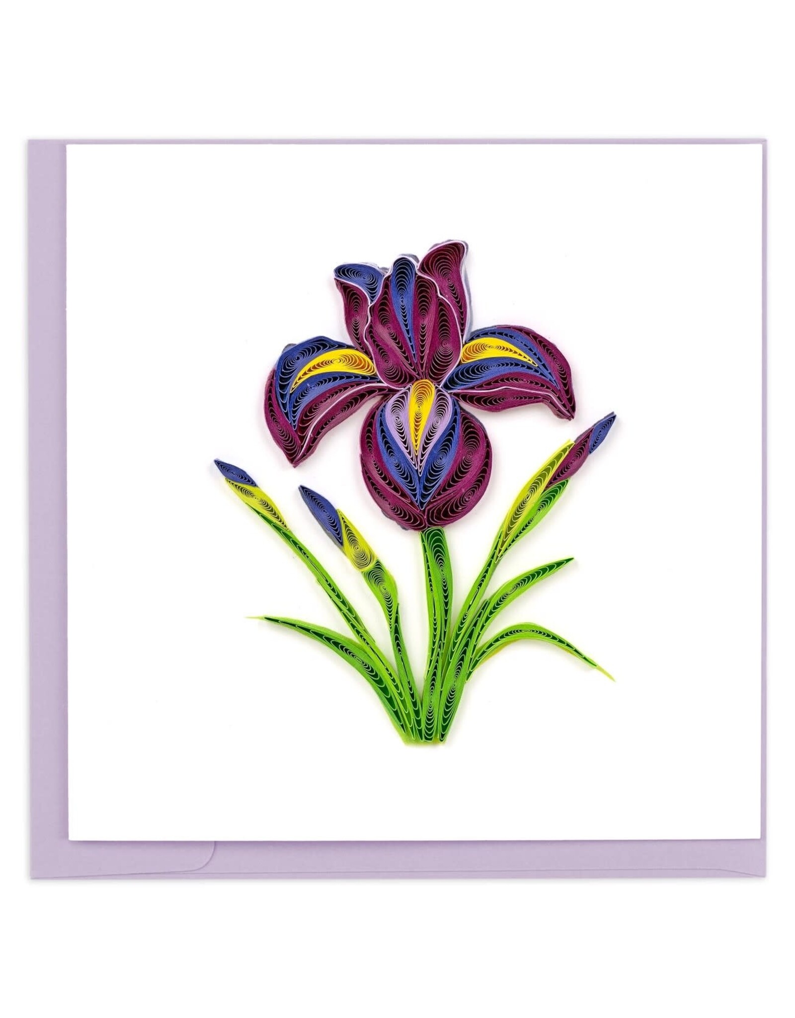 Iris Quilling Card, Vietnam