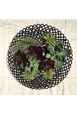 14" Washer Bowl, india