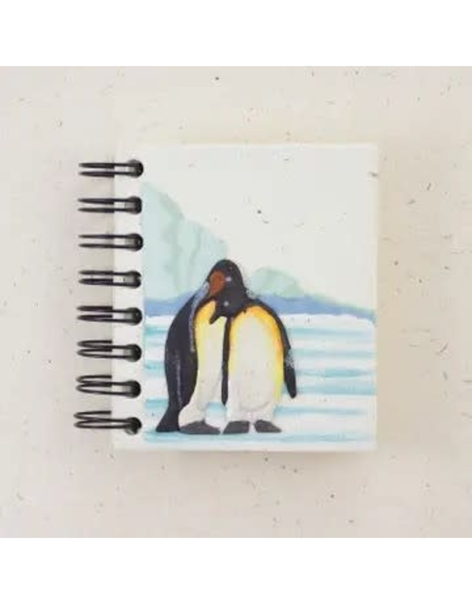 Small Notebooks, VARIETY of Animals