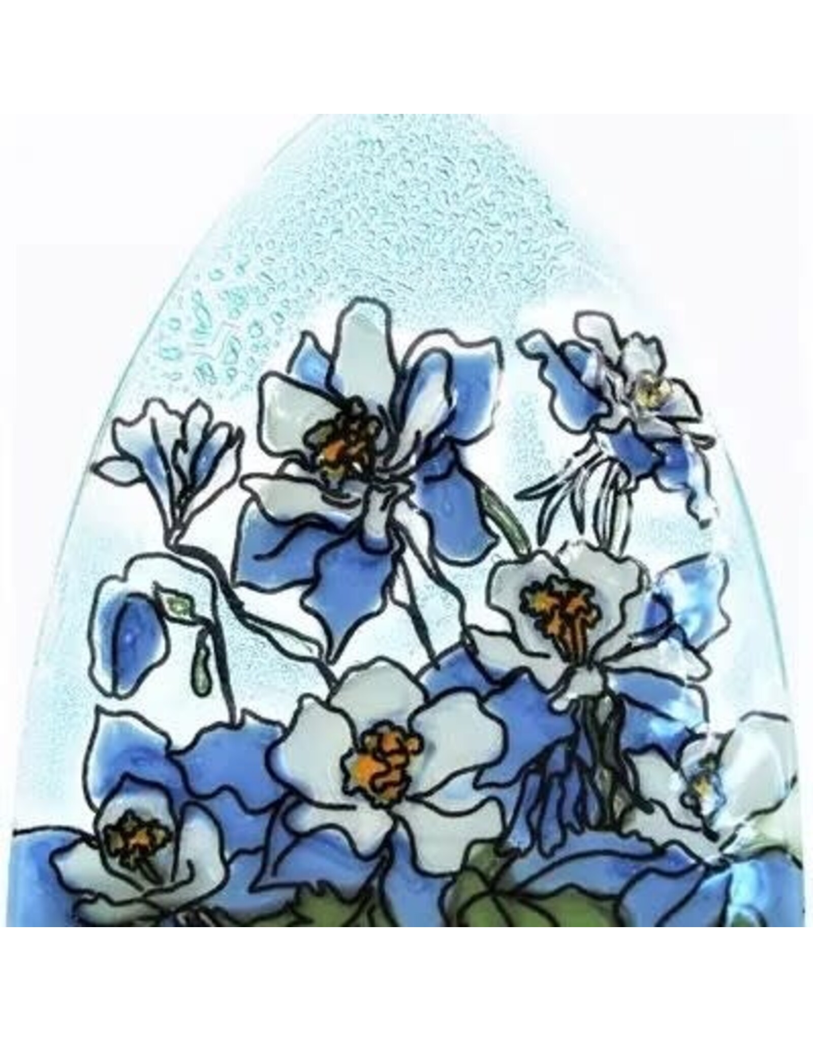 Blue Colombine Flower Night light, Ecuador