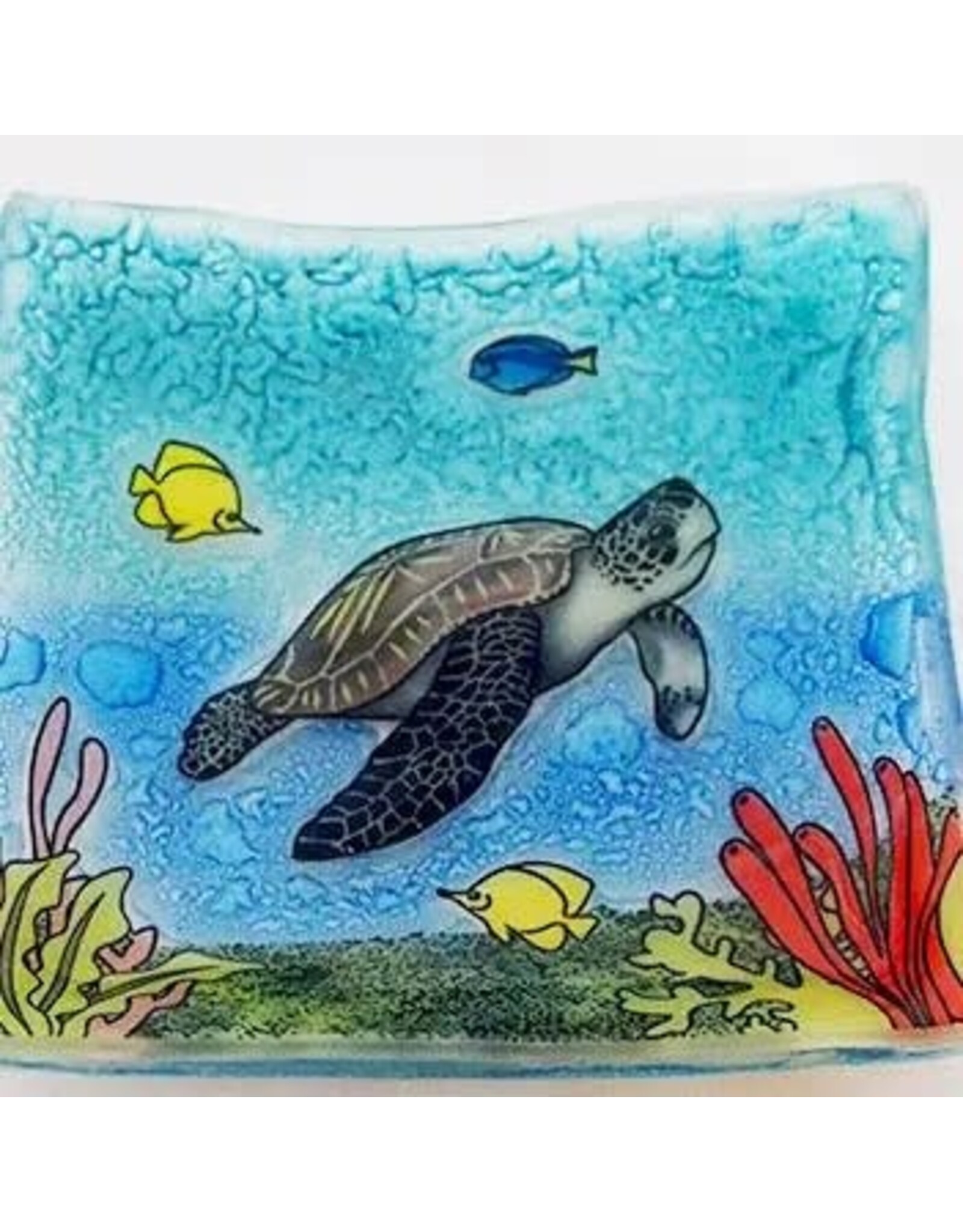 Sea Turtle Swimming with Fish Small Square Glass Dish, Ecuador