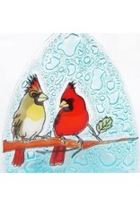 Cardinal Night Light, Ecuador