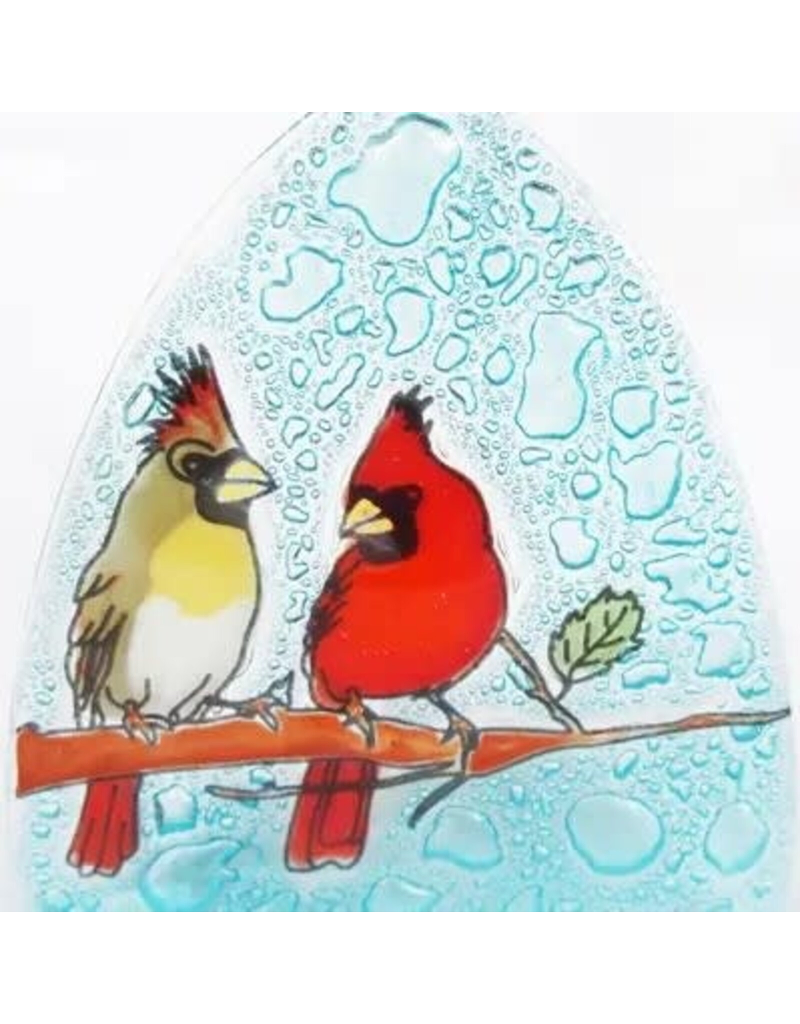 Cardinal Nightlight, Ecuador
