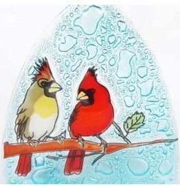 Cardinal Nightlight, Ecuador