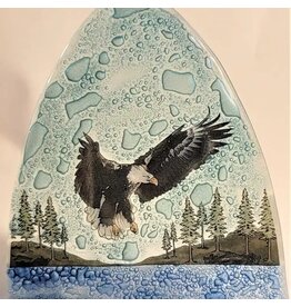 Eagle  Night Light, Ecuador