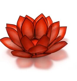Horizon Paradise Lotus Tlight