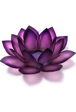 Passion Paradise Lotus Tlight