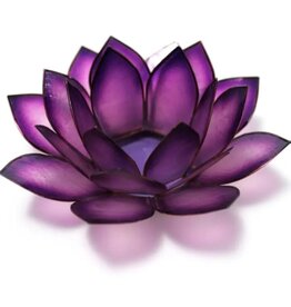 Passion Paradise Lotus Tlight