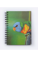 Large Notebook Parrot