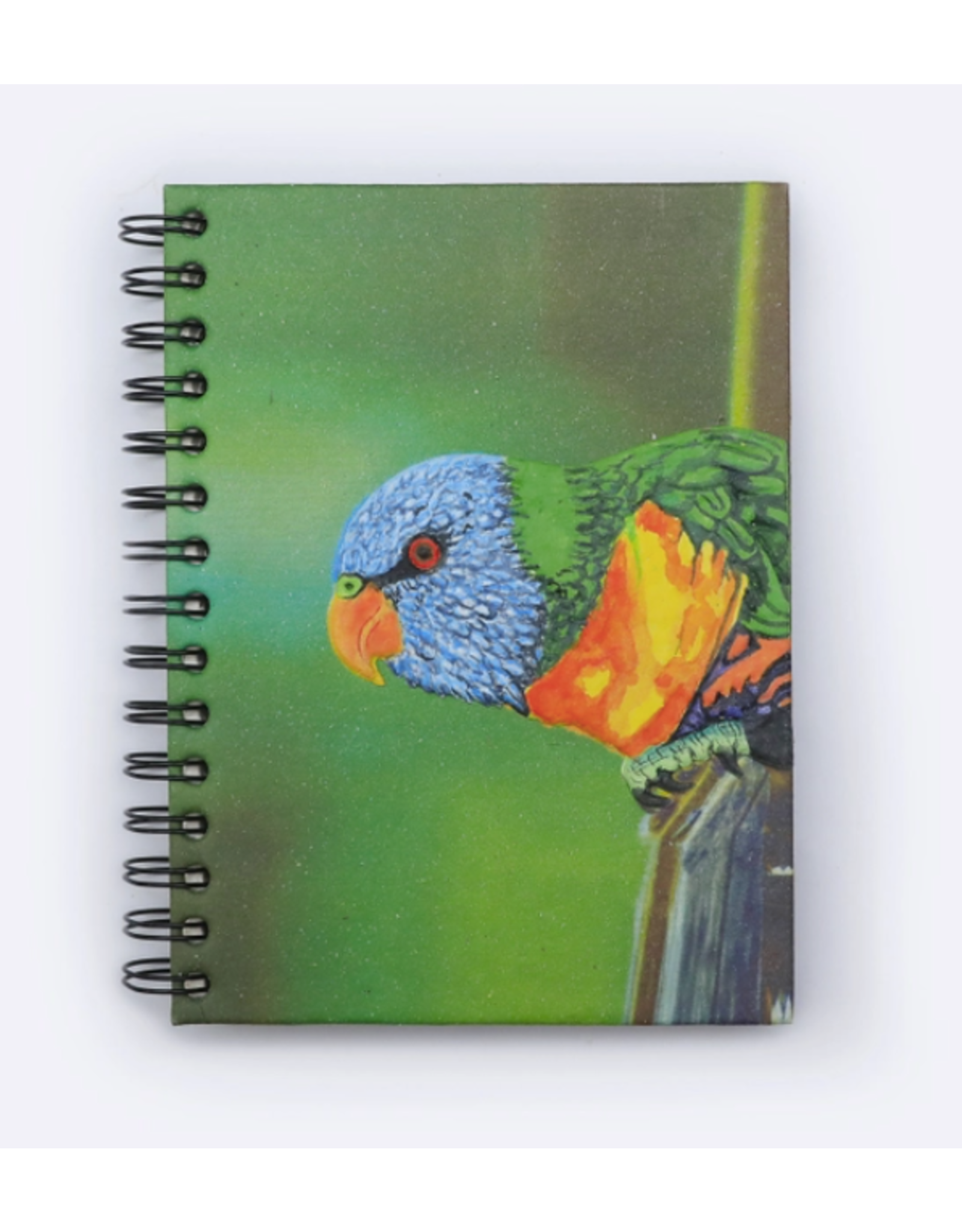 Large Notebook Parrot