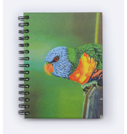 Large Notebook Parrot
