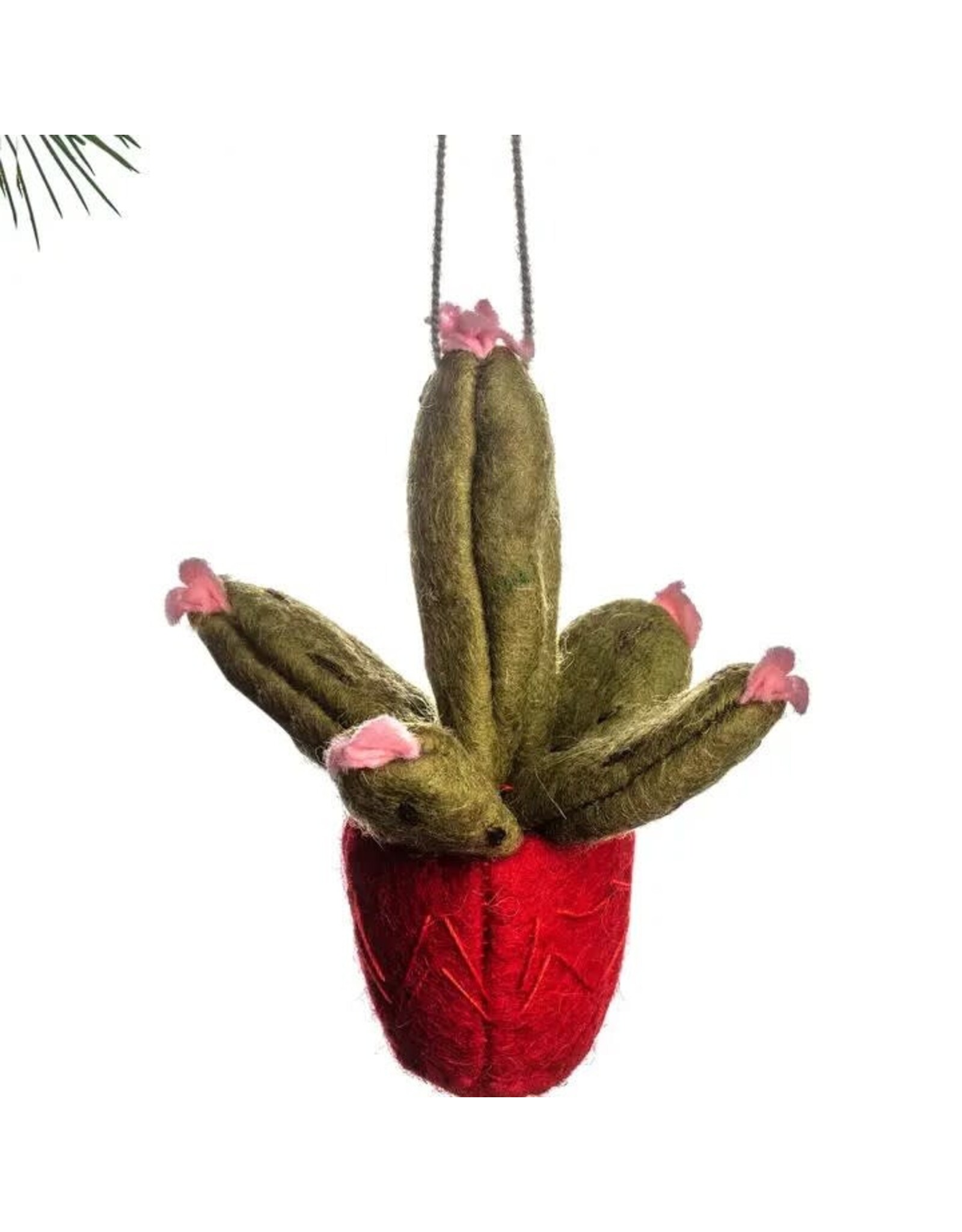 Trade roots Prickly Pear Ornament, Red Pot