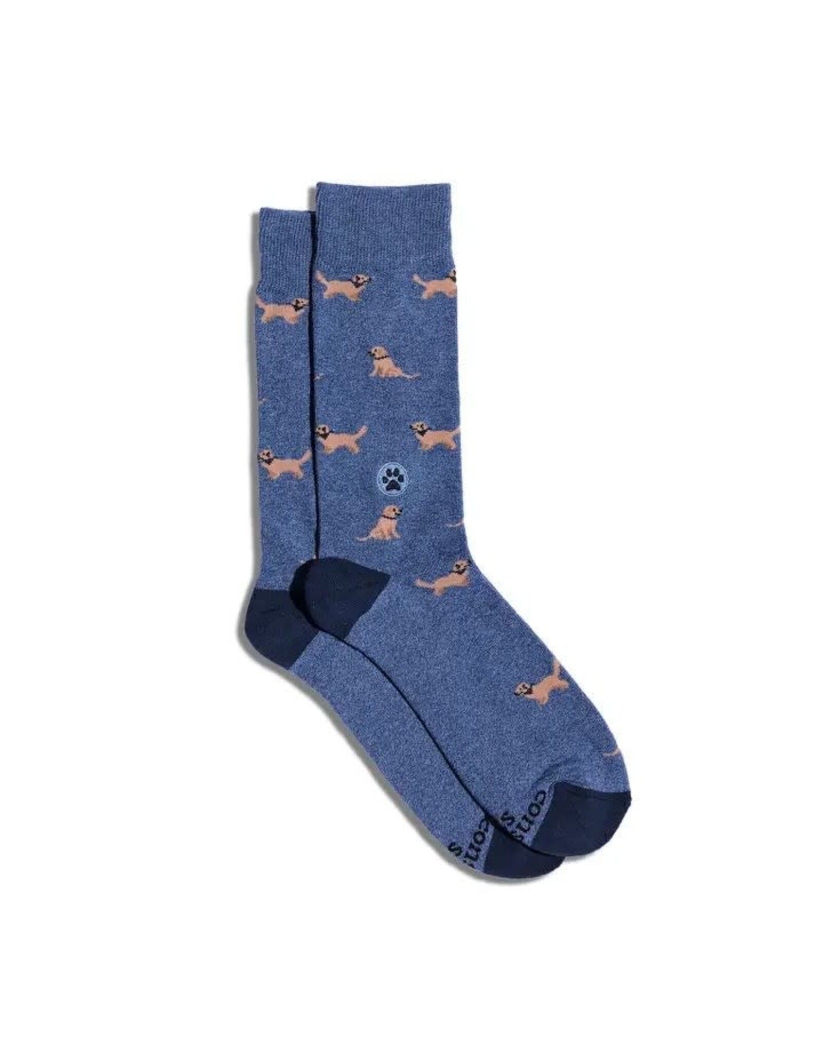 Socks that Save Golden Retrievers, India