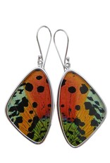 Trade roots Assorted Butterfly Sterling Earrings, Larfe , Peru