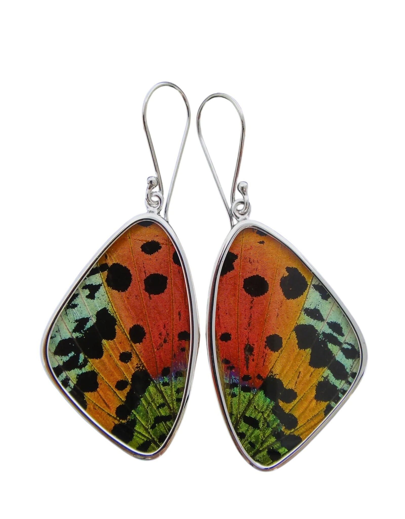 Trade roots Assorted Butterfly Sterling Earrings, Larfe , Peru