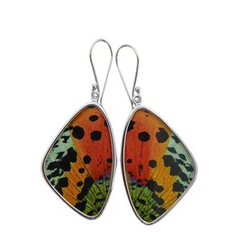Trade roots Assorted Butterfly Sterling Earrings, Larfe , Peru