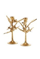 Blooming Orchid Candle Holders- Set of 2, India
