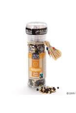 Trade roots Spices