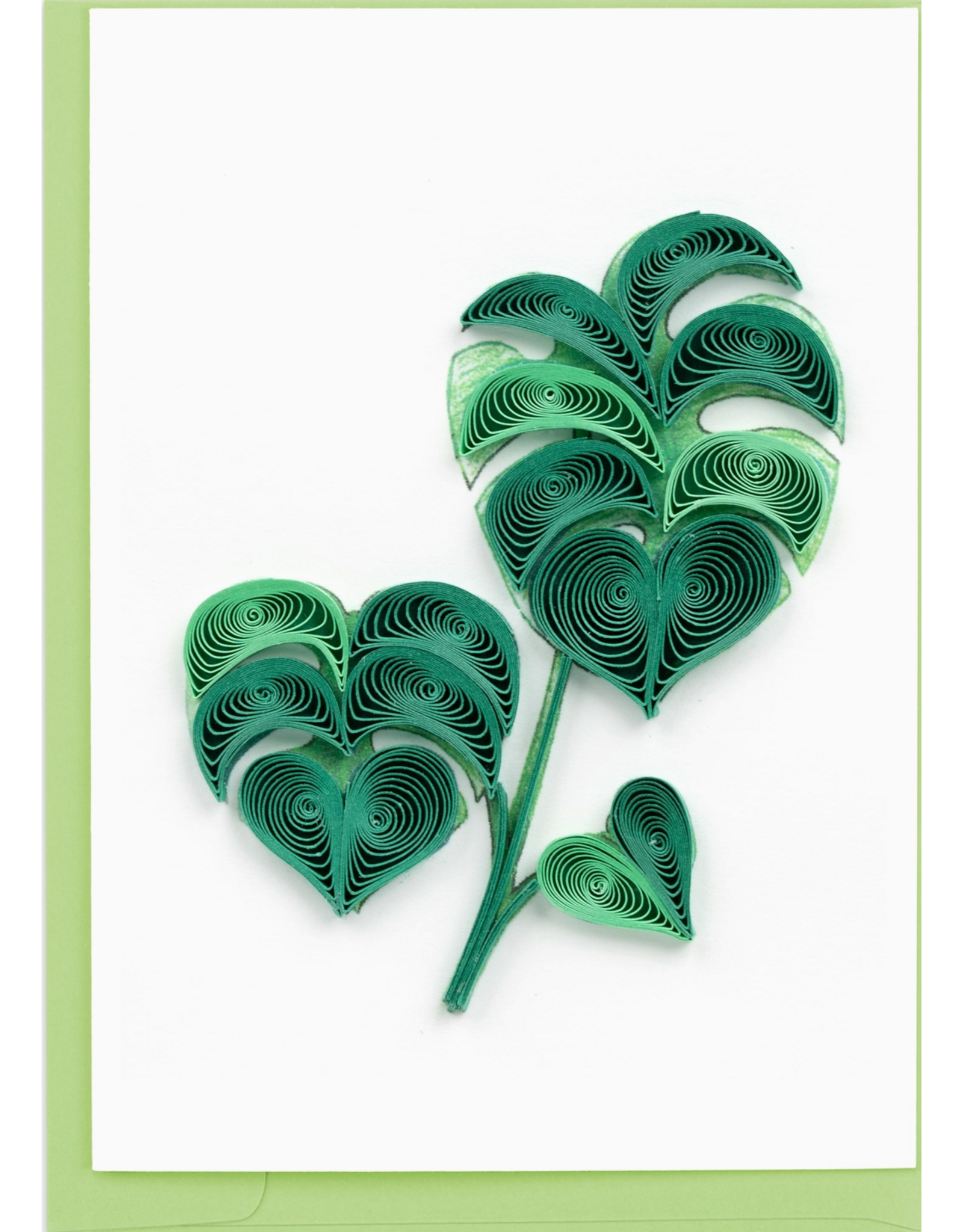 Trade roots Monstera Quill gift card enclosure, Vietnam