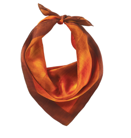 Trade roots Hali Square Silk Bandana