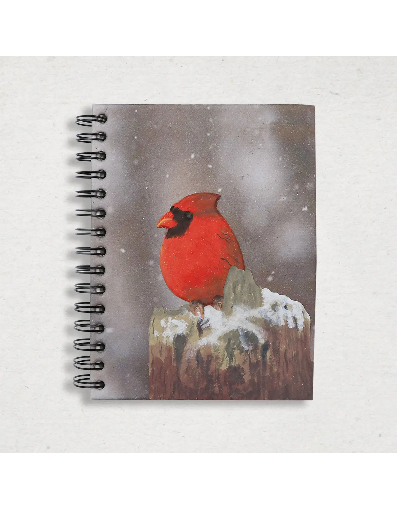 New Cardinal Notebook on Stump, Sri Lanka