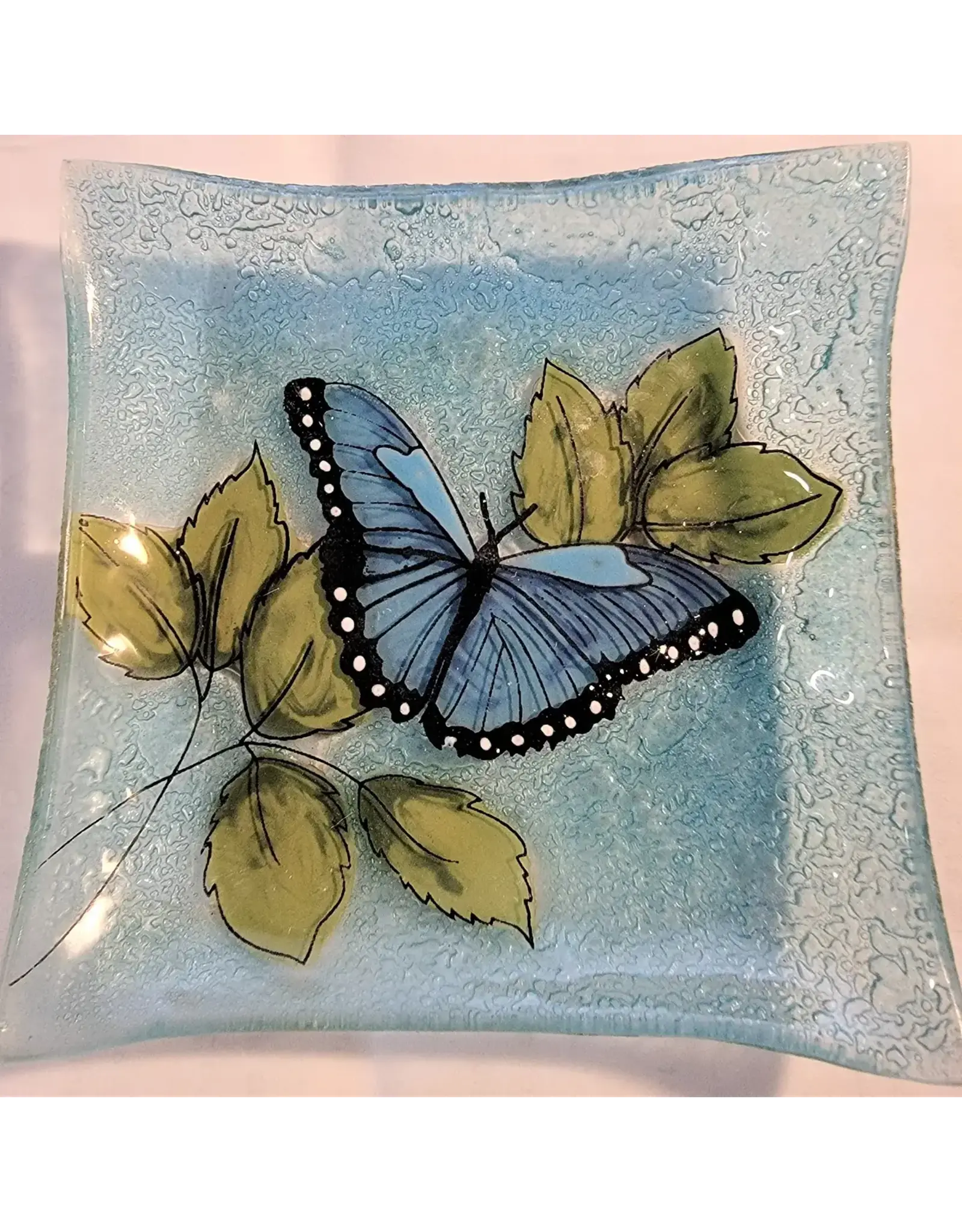 Square Plate / Dish Blue Butterfly