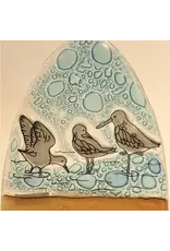 Sandpiper Night light, Ecuador